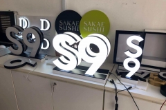 1_S9